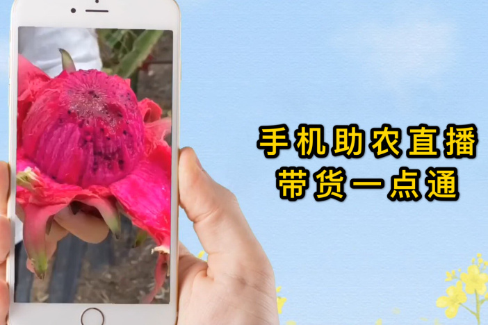 手机助农直播带货一点通