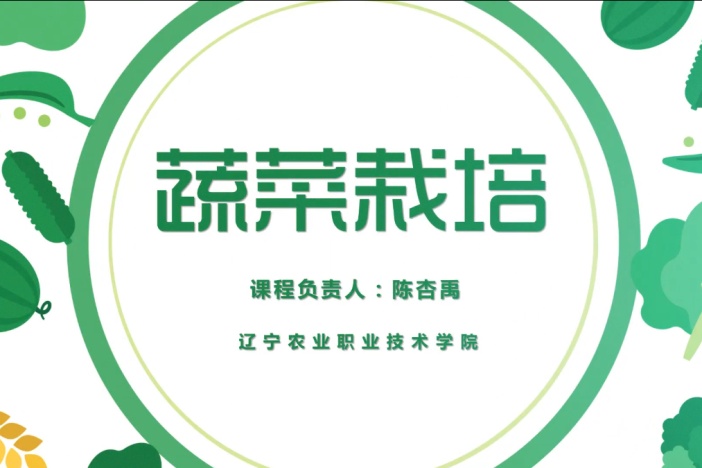 蔬菜栽培