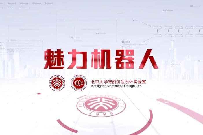 魅力机器人