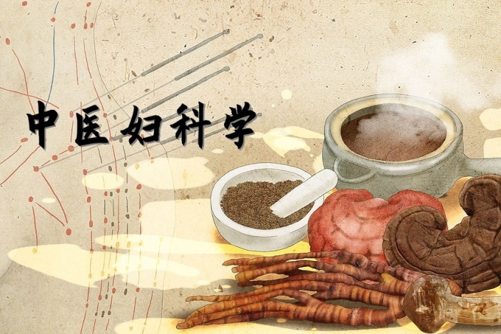 中医妇科学