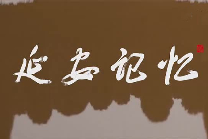 延安记忆