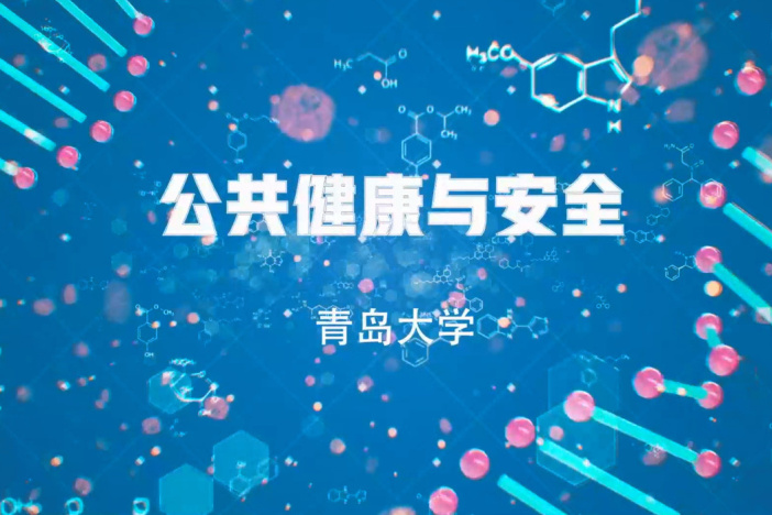 公共健康与安全