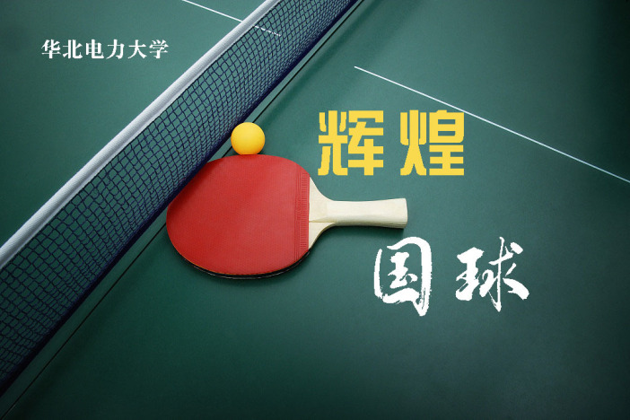 辉煌国球