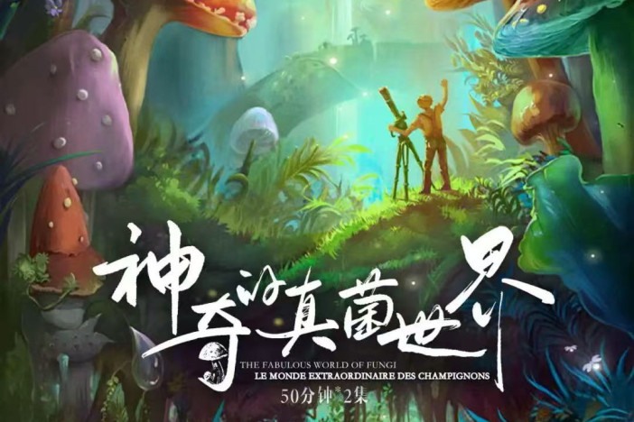 神奇的真菌世界