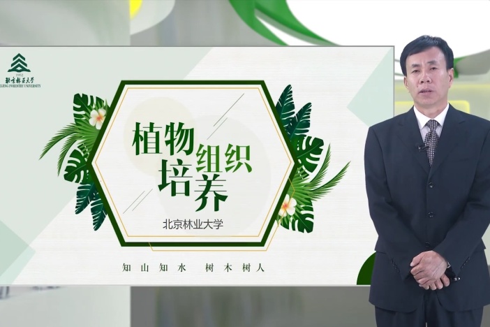 植物组织培养