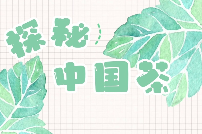 探秘中国茶：茶具之茶壶篇