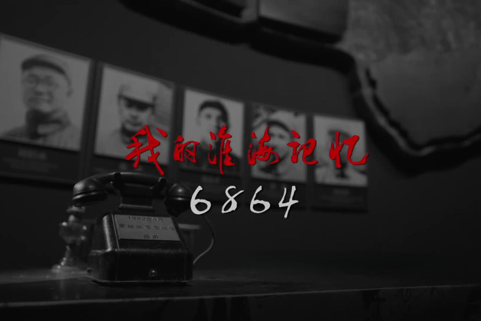 6864——我的淮海记忆