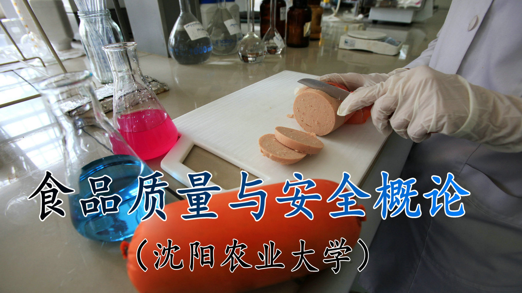 食品质量与安全概论