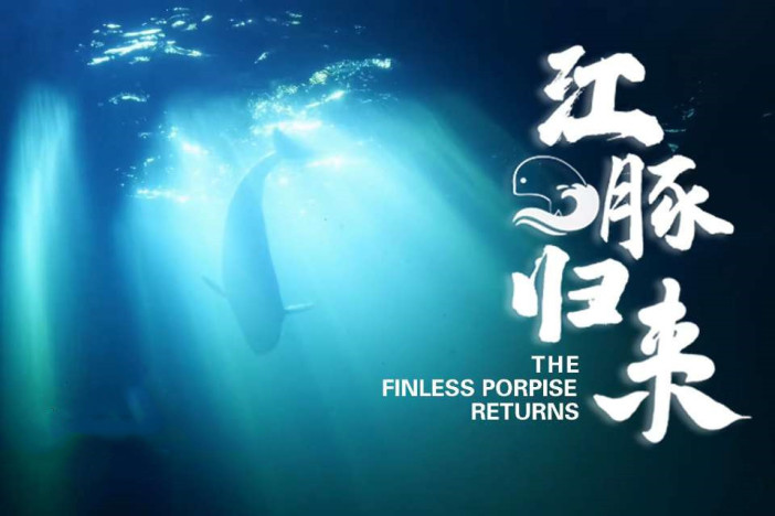 江豚归来