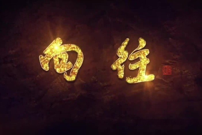 向往