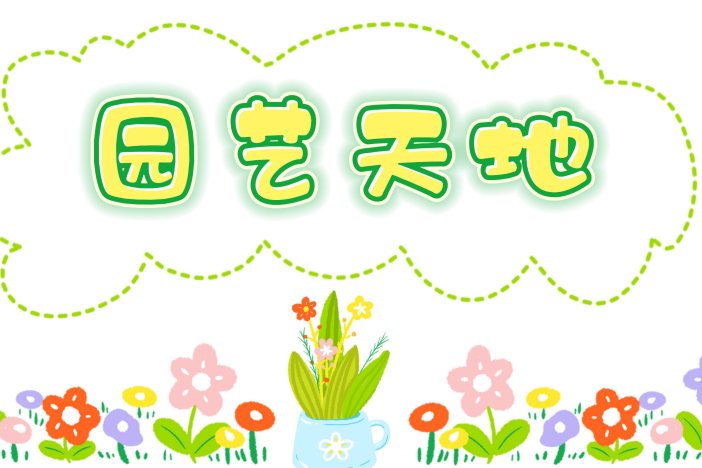 园艺天地：长寿花养护小技巧