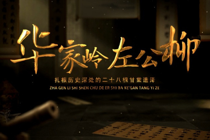 纪录片《华家岭左公柳》