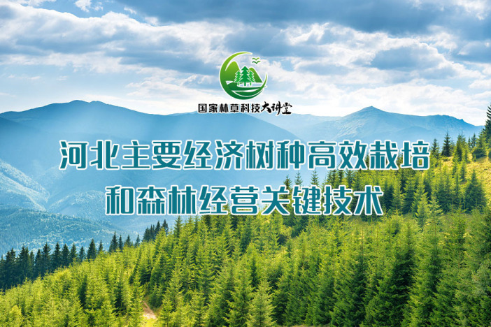 河北主要经济树种高效栽培和森林经营关键技术