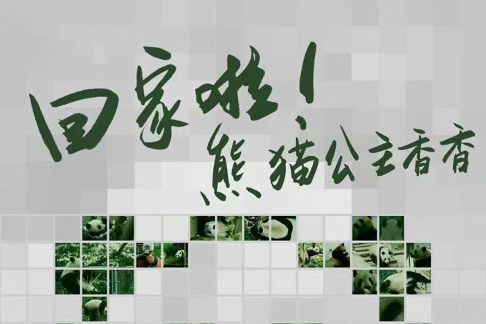 回家啦！熊猫公主香香