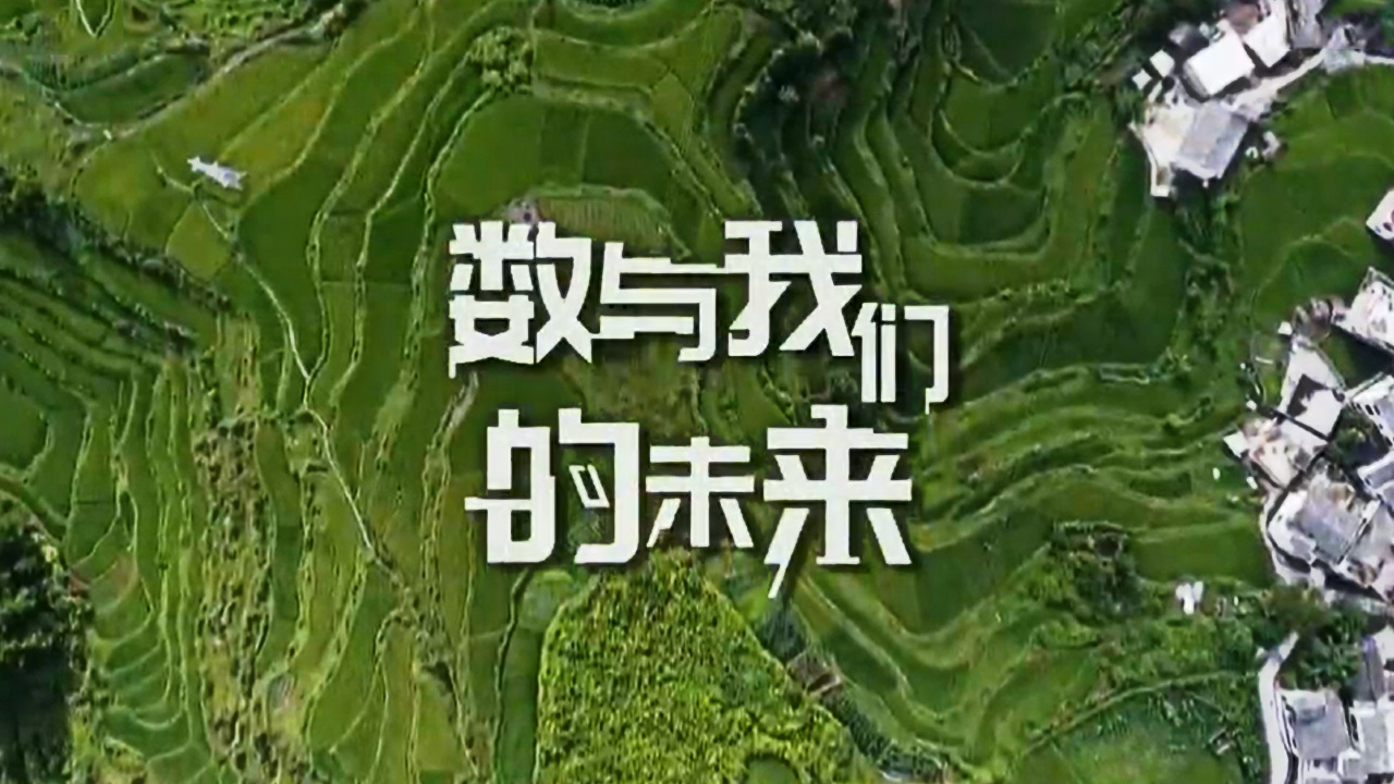 《数与我们的未来》