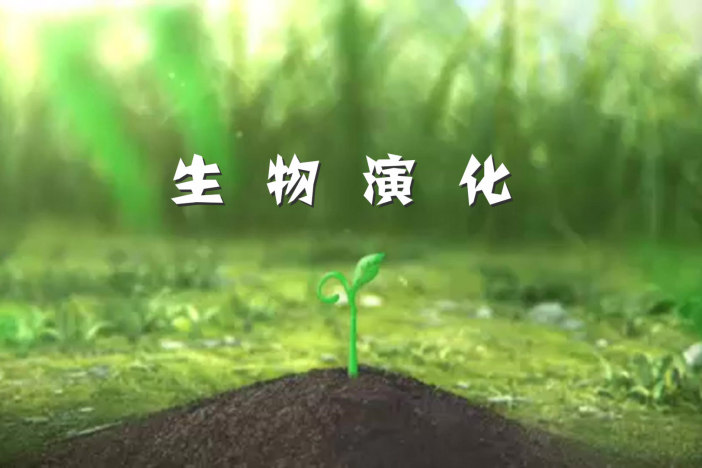 生物演化