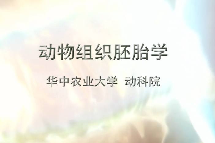 动物组织胚胎学