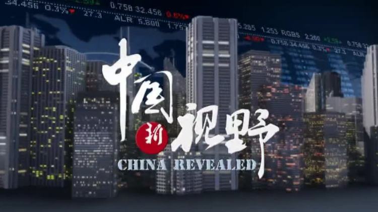 中国新视野
