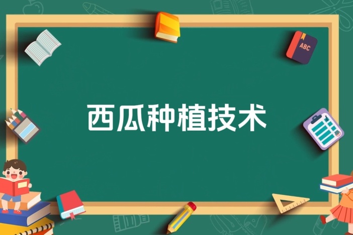 西瓜种植技术