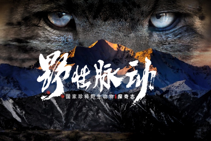 野性脉动——国家珍稀野生动物探奇志