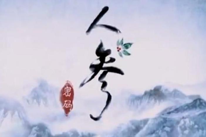 人参密码