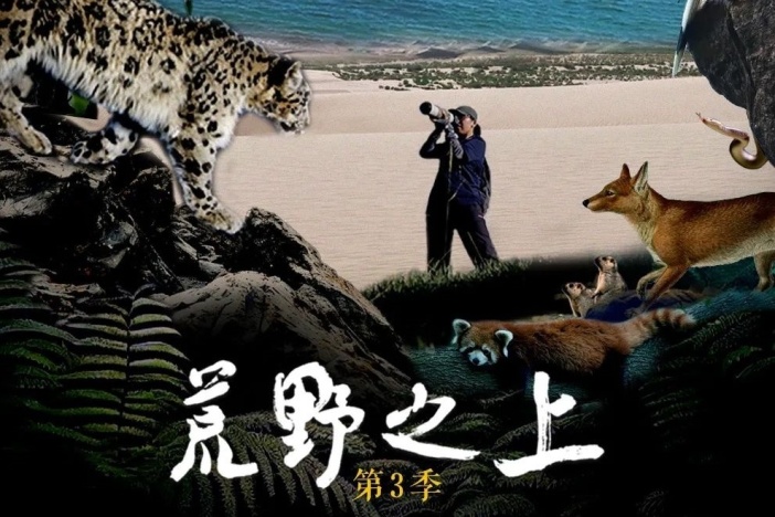 荒野之上 第三季