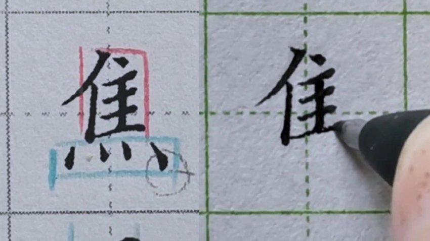 硬笔楷书偏旁部首规律精讲（中级13