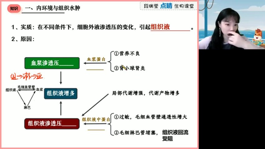 2024高考生物段瑞莹押题卷+讲义：