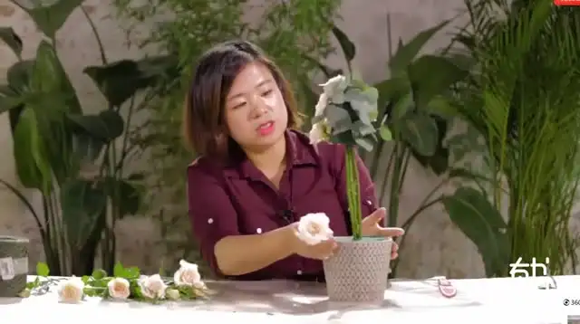 20节插花视频教程：花艺技巧与生活