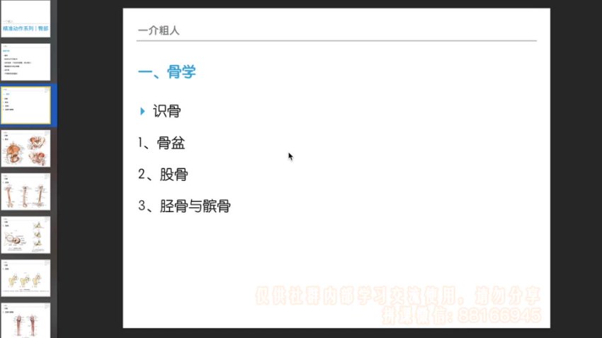 麦大湿臀部精准训练14课：从解剖到