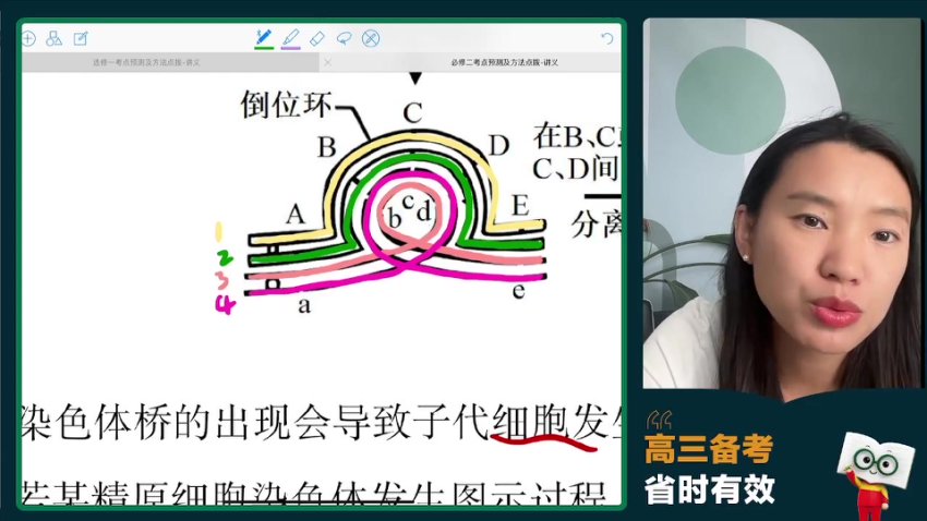 2024高三毛慧生物冲刺班-必修选