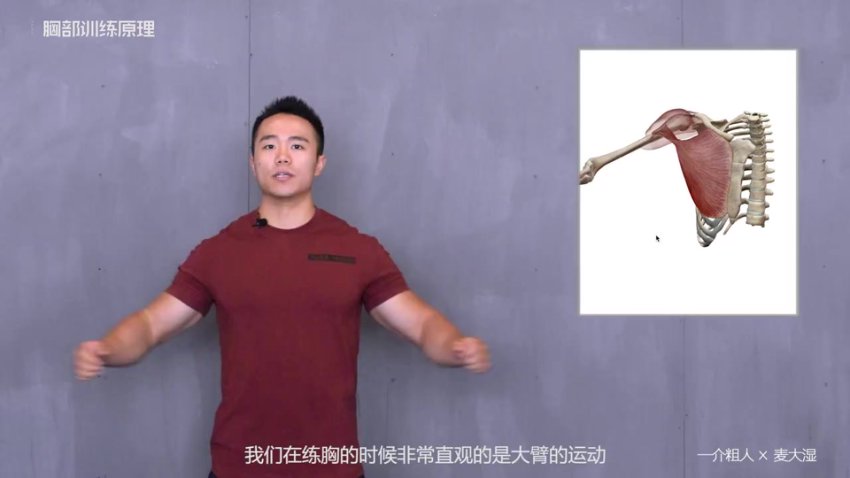 一介粗人x麦大湿：胸部训练入门到