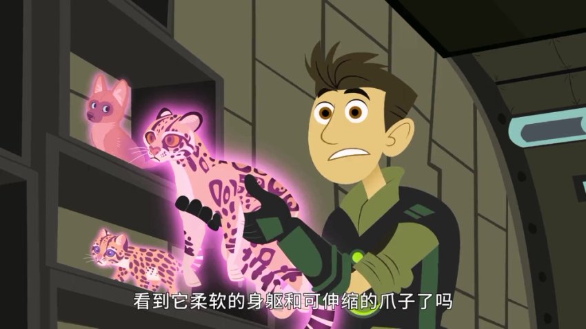 《动物兄弟》全6季158集 1080P超