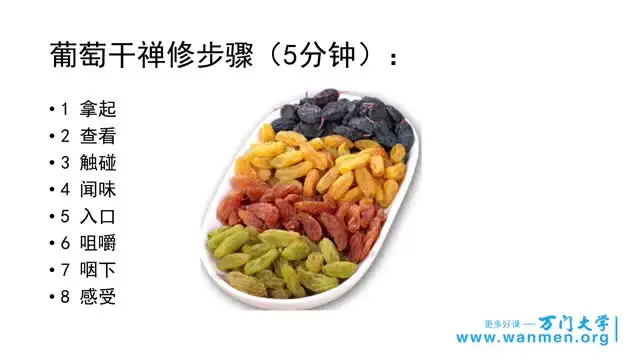 掌握情绪管理：视频+课件全攻略