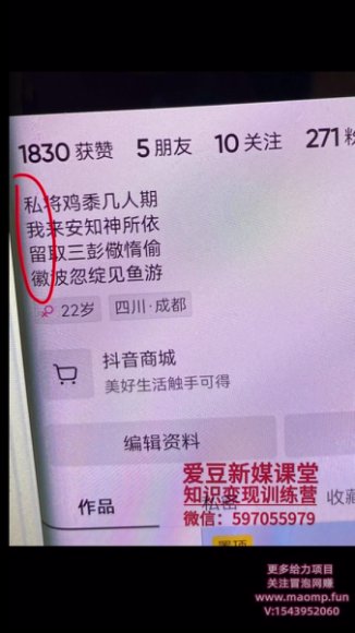 暴力涨粉丝项目:每天1小时7天上