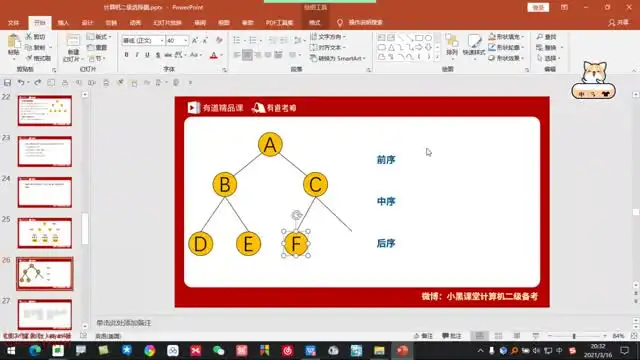 2025计算机二级备考资料：Excel、MS、WPS全攻略