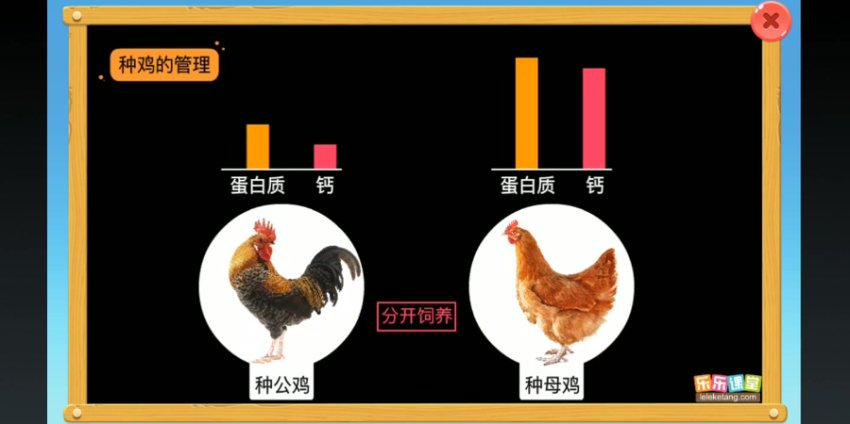乐乐课堂生物动画大百科：6-15岁孩子的趣味学习指南