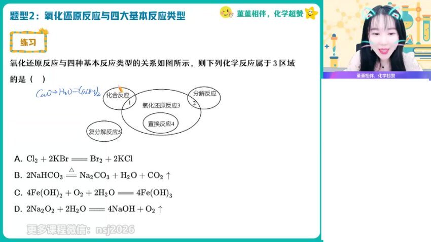 2024高一化学精品课：王瑾名师全攻略